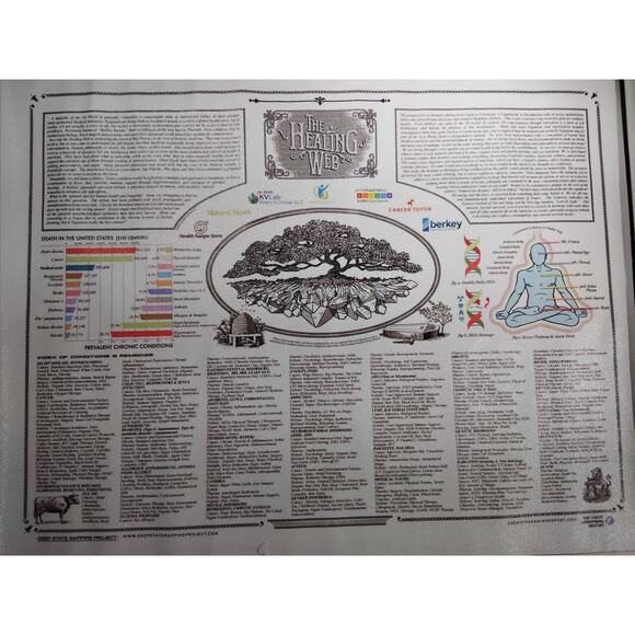The Healing Web Canvas Print Holistic, Alternative Medicine 16x12" Unframed - Picture 1 of 4